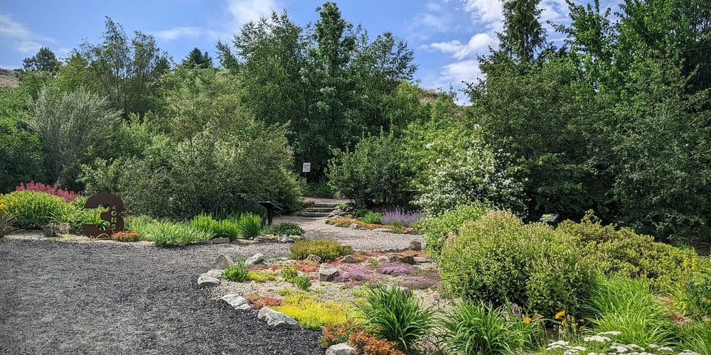 Lush garden landscape with diverse plants, pathways, and greenery under a clear blue sky.